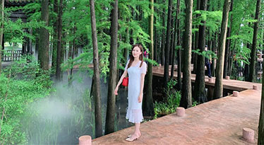 光芒——是溫柔小姐姐，也是閃耀著堅韌的光芒